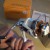 Daiwa Exceler-Z